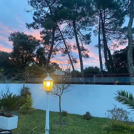 Maison De Luxe - * Tarnos